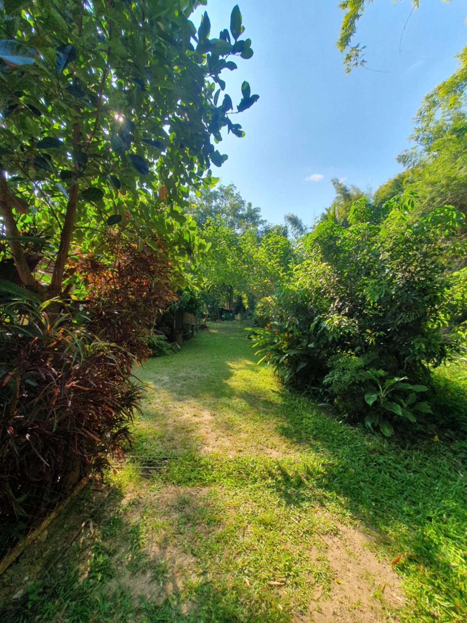 Mind'S Homestay มายด์โฮมสเตย์ Kampong Huaibu Eksteriør billede
